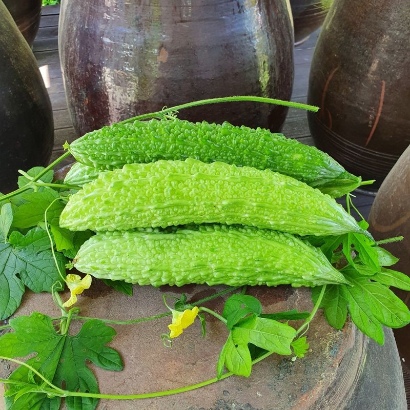 장터 상품 [여주 즙(1박스)] 썸네일