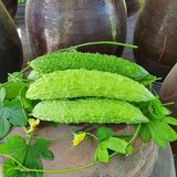 팜모닝 · 게시글 이미지