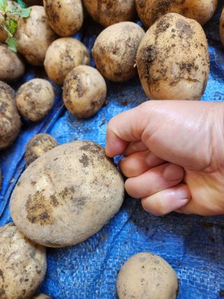 윤미선(농경채인증님의 작성글 사진