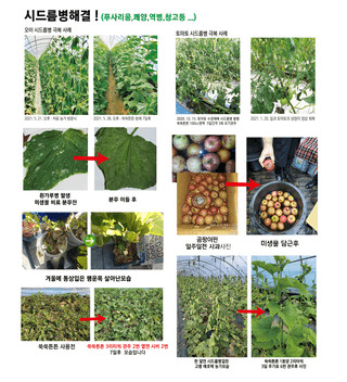 단지바이오님의 작성글 사진
