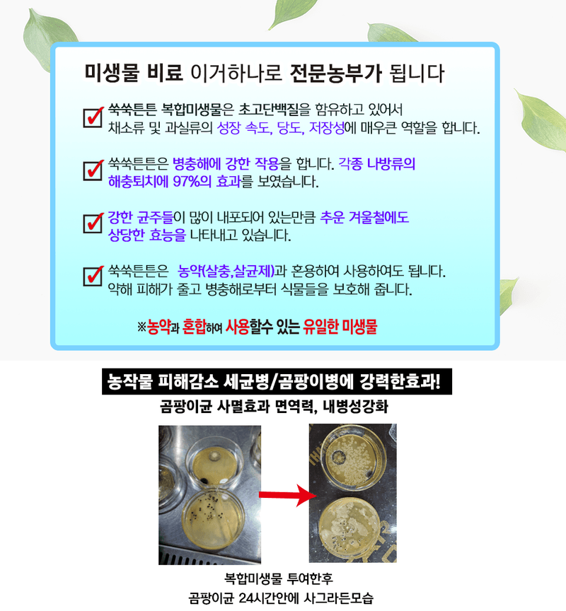단지바이오님의 장터 판매 상품 [[단지바이오] 한방효소 1리터 한방효소제 식품가능한 한약재료를 이용하여 450종의 미생물로 72시간 효소화] 첨부 사진