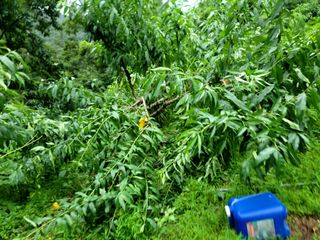 이양호님의 수해 농가 응원 같이해요 · 참여 작성글 사진