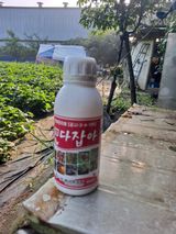 팜모닝 들깨·영농일지 게시글 이미지