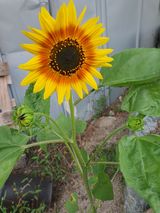 팜모닝 자유주제·자유게시판 게시글 이미지