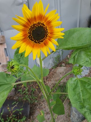 안비님의 자유주제 · 자유게시판 작성글 사진