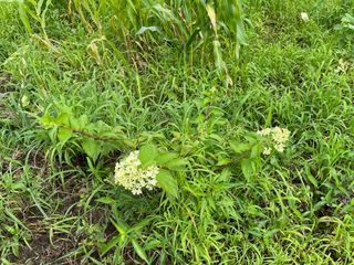 도곡님의 자유주제 · 자유게시판 작성글 사진