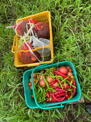 도곡님의 자유주제 · 자유게시판 작성글 사진