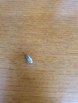 팜모닝 팜모닝 병해충 연구회·자유게시판 게시글 이미지