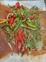 팜모닝 고추·병해충상담 게시글 이미지