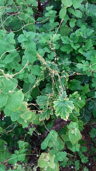 배상권님의 자유주제 · 사진전 작성글 사진