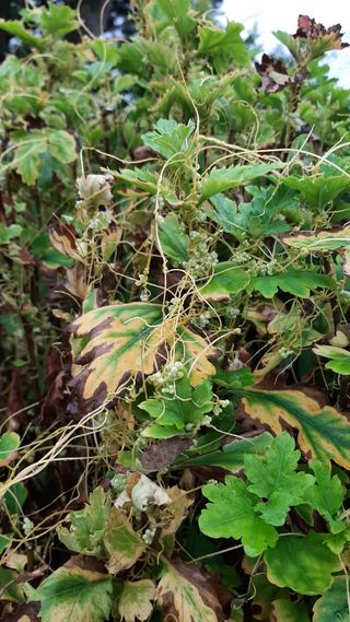 배상권님의 자유주제 · 사진전 작성글 사진