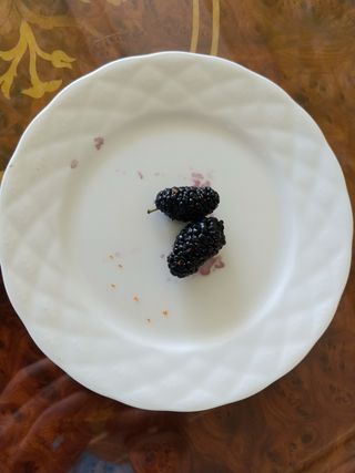 황갑선님의 기타작물 · 병해충상담 작성글 사진