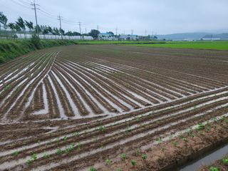 희찬(김동필)님의 수해 농가 응원 같이해요 · 참여 작성글 사진