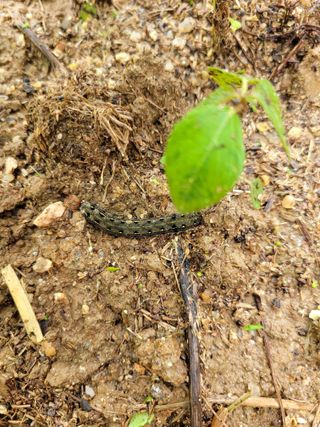 희찬(김동필)님의 수해 농가 응원 같이해요 · 참여 작성글 사진
