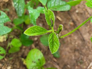 희찬(김동필)님의 수해 농가 응원 같이해요 · 참여 작성글 사진