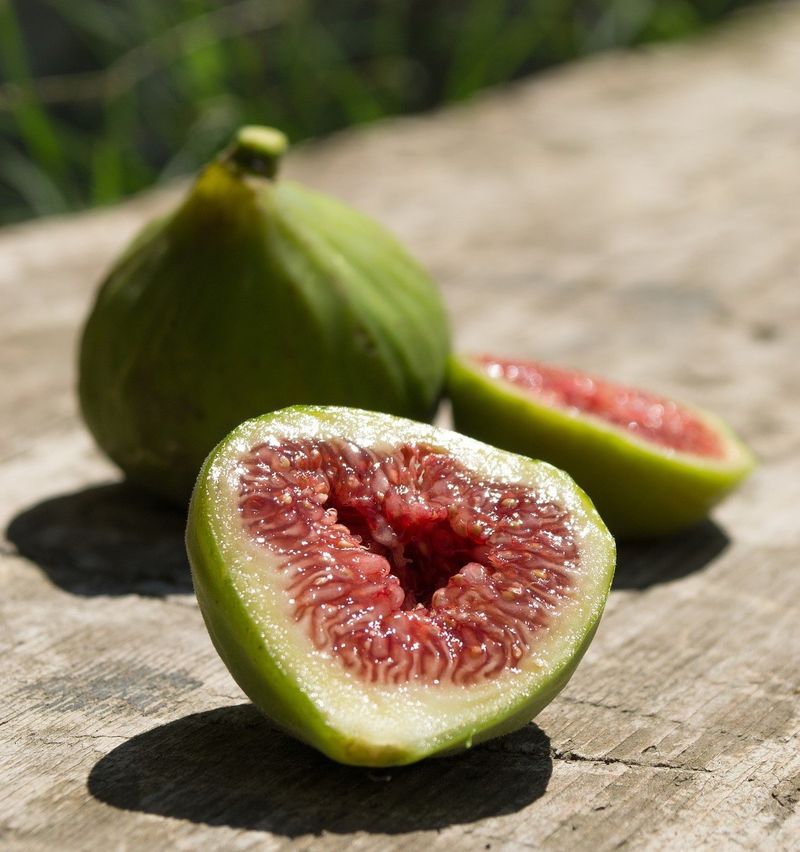 프룻하늬님의 장터 판매 상품 [영암 홍무화과 1kg, 2kg] 첨부 사진