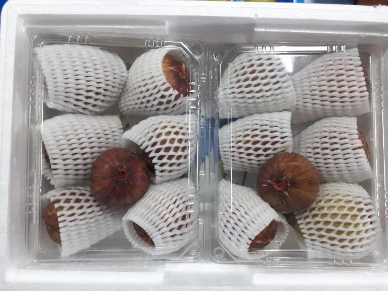 프룻하늬님의 장터 판매 상품 [영암 홍무화과 1kg, 2kg] 첨부 사진