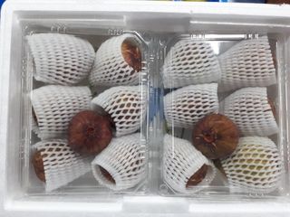 프룻하늬님의 작성글 사진