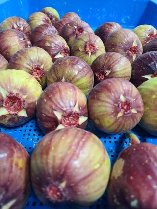 프룻하늬님의 작성글 사진