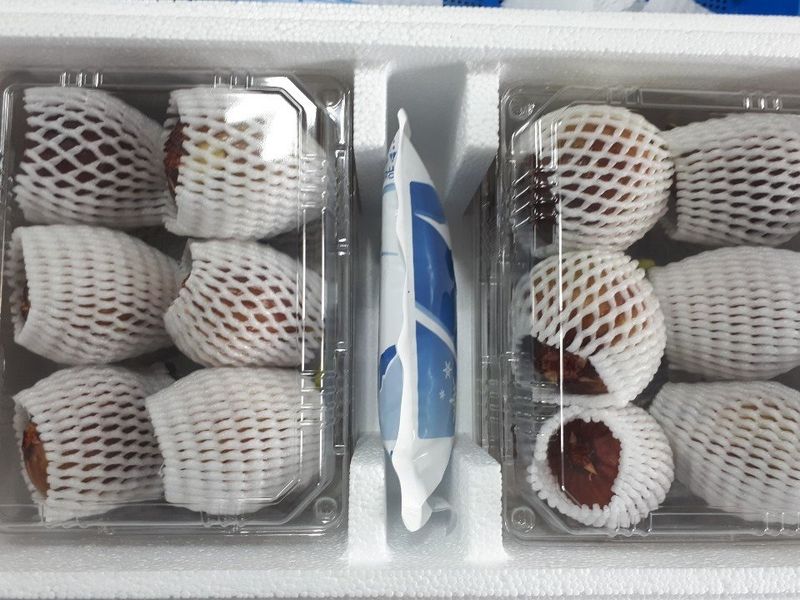 프룻하늬님의 장터 판매 상품 [영암 홍무화과 1kg, 2kg] 첨부 사진