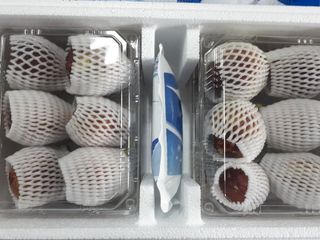 프룻하늬님의 작성글 사진