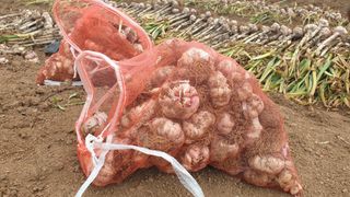 농부아내님의 작성글 사진