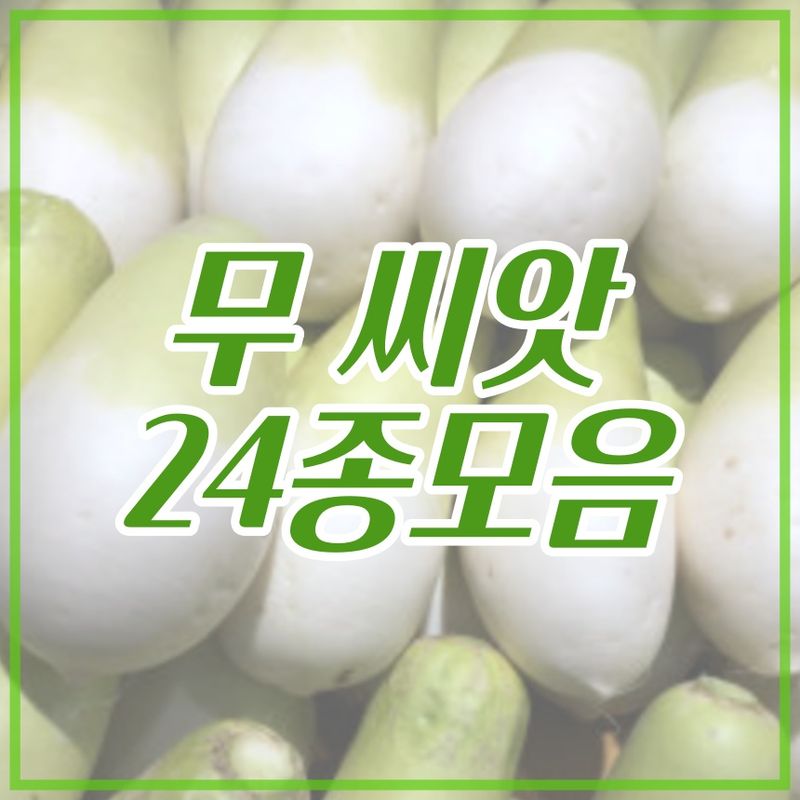 장터 상품 [무 씨앗 24종 모음전 / 무 씨앗, 무 종자] 썸네일
