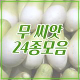 팜모닝 · 게시글 이미지