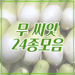 주주씨앗님의 작성글 사진