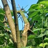 팜모닝 수해 농가 응원 같이해요·참여 게시글 이미지