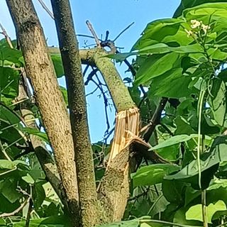 나빌레라님의 수해 농가 응원 같이해요 · 참여 작성글 사진