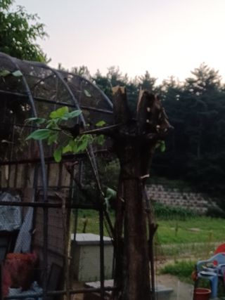 나빌레라님의 수해 농가 응원 같이해요 · 참여 작성글 사진