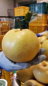 팜모닝 · 게시글 이미지