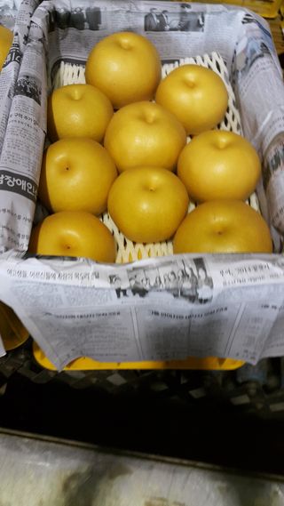 장재농원 최재석님의 작성글 사진