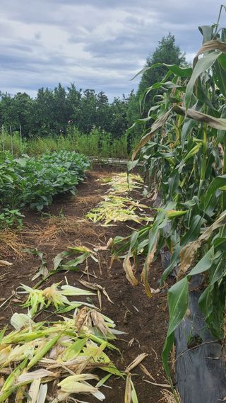 오정현님의 자유주제 · 자유게시판 작성글 사진