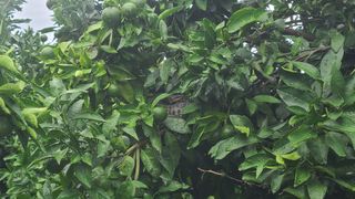 오정현님의 자유주제 · 자유게시판 작성글 사진