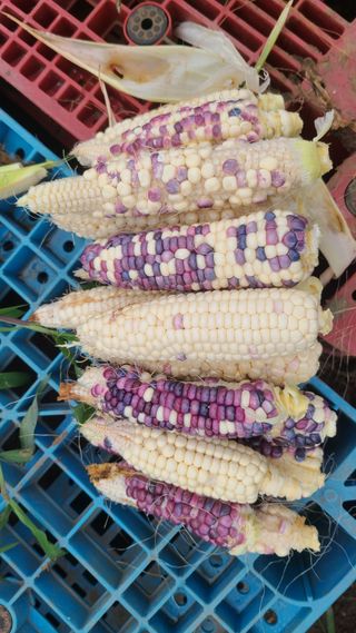 오정현님의 자유주제 · 자유게시판 작성글 사진