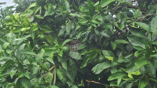 오정현님의 자유주제 · 자유게시판 작성글 사진