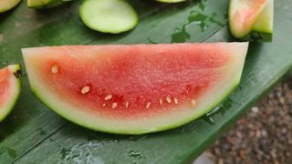 오정현님의 자유주제 · 자유게시판 작성글 사진