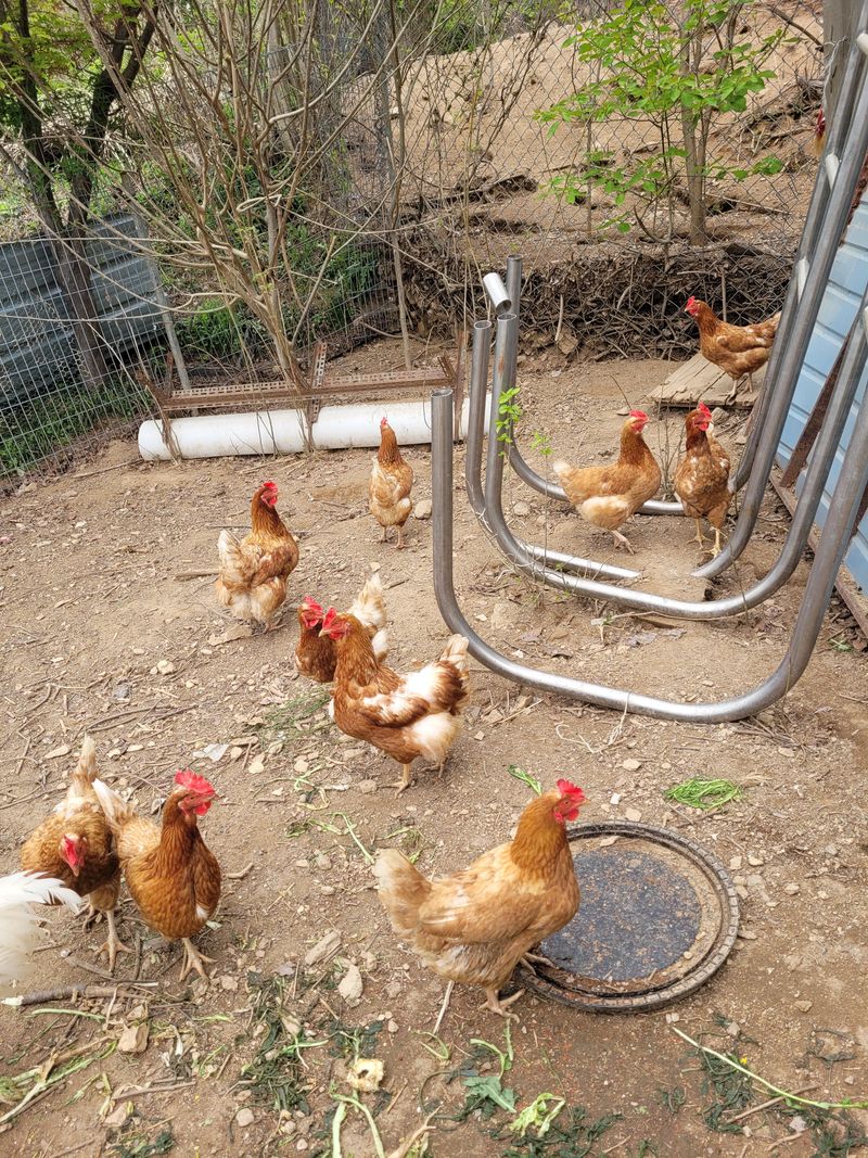 장터 상품 [2kg] 썸네일