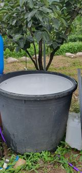 팜모닝 감·영농일지 게시글 이미지