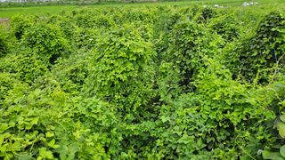 조병대님의 기타작물 · 자유게시판 작성글 사진