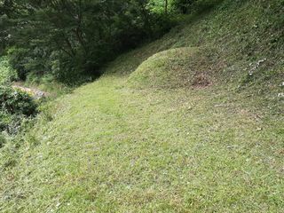 강성민님의 사과 · 영농일지 작성글 사진