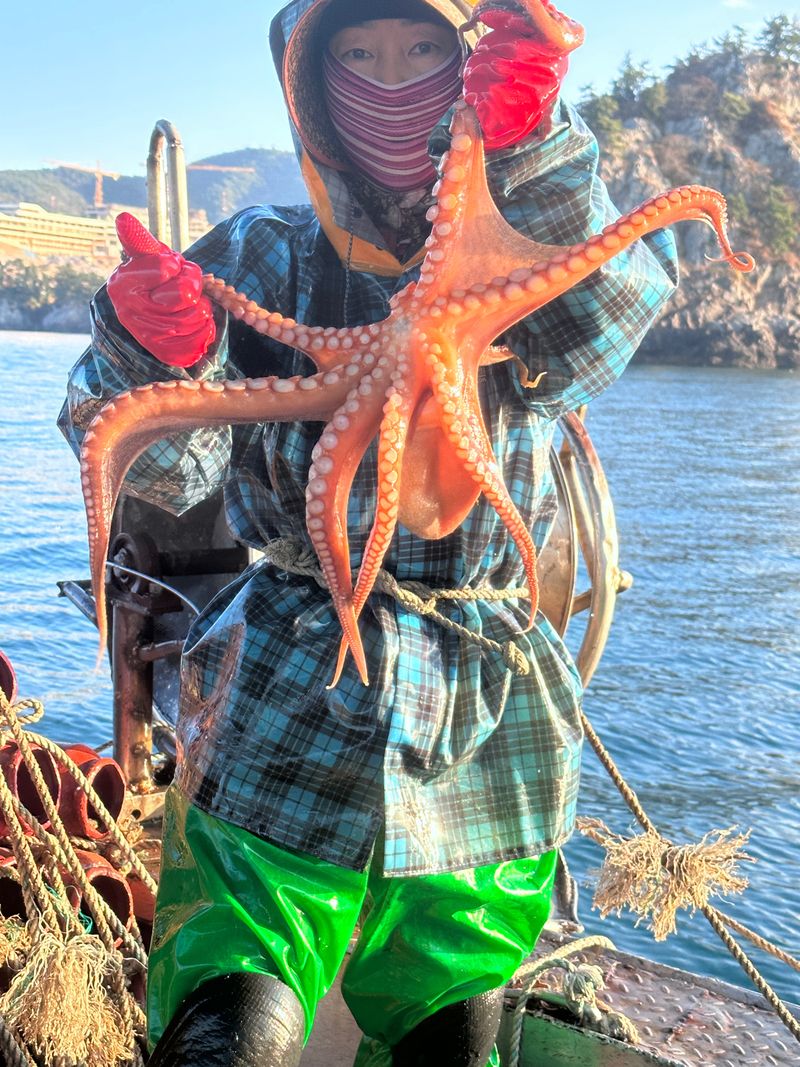 정승일님의 장터 판매 상품 [남해 돌문어 ] 첨부 사진