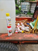 팜모닝 콩·자유게시판 게시글 이미지