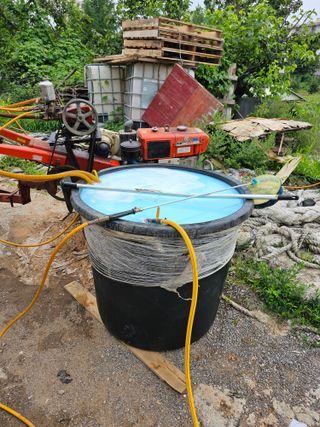 묽맑은 길 이영행님의 콩 · 자유게시판 작성글 사진