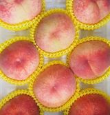 팜모닝 · 게시글 이미지