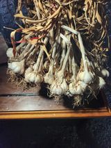 팜모닝 · 게시글 이미지