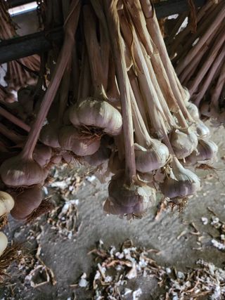 최승일님의 작성글 사진