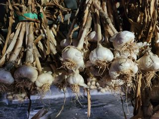 최승일님의 작성글 사진